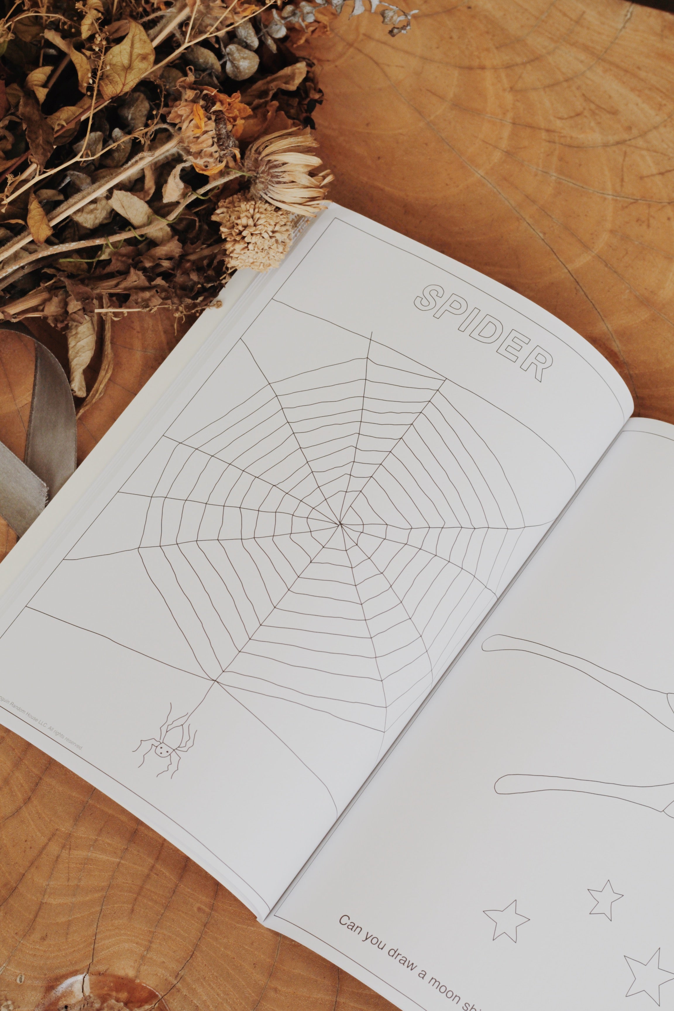 The Very Hungry Caterpillar's Very Big Colouring Book – Number Twelve