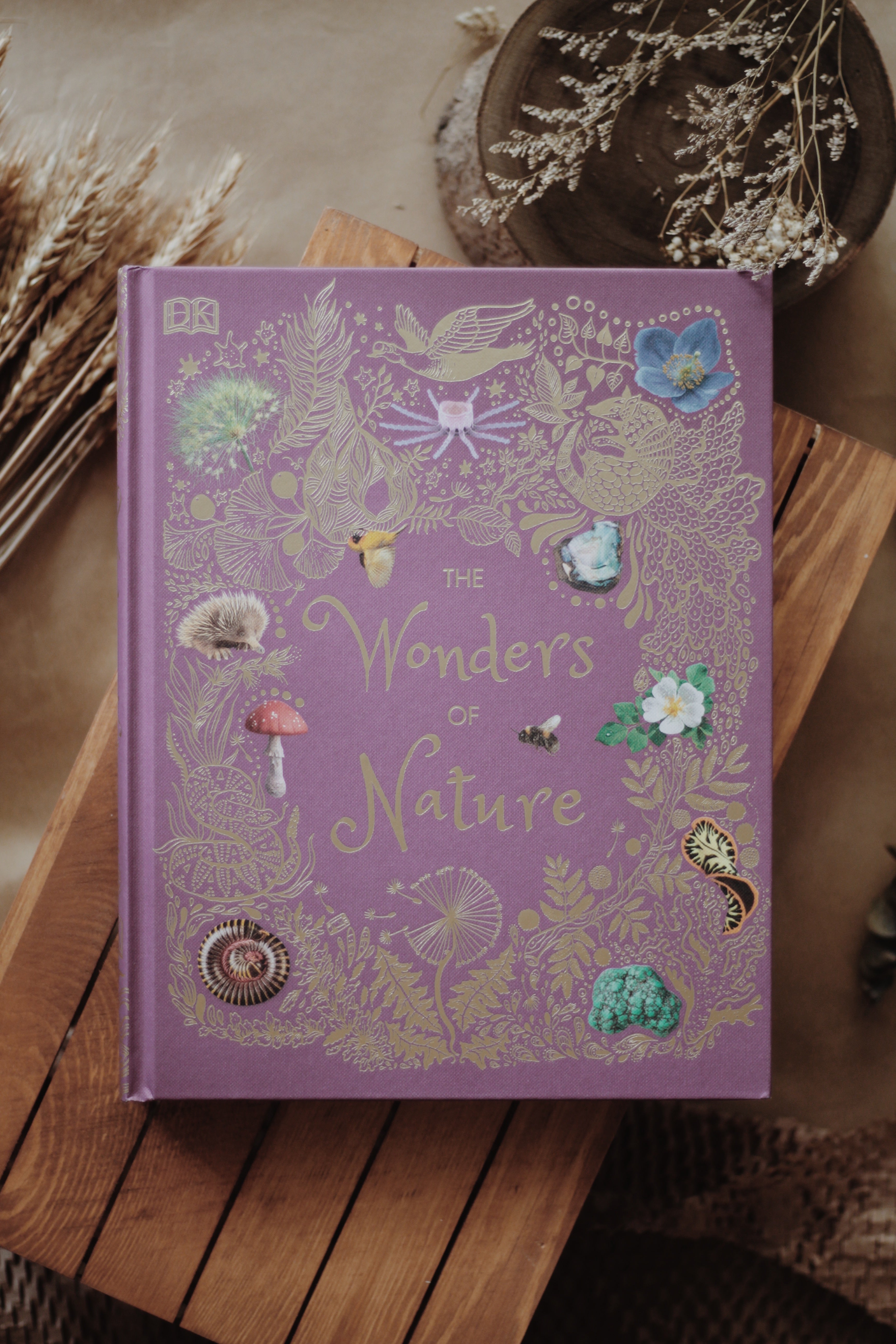 Number　–　The　Nature　of　Wonders　Twelve