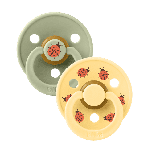 Studio Collection Colour Latex Pacifier 2 Pack