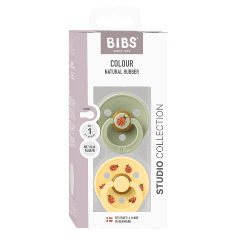 Studio Collection Colour Latex Pacifier 2 Pack
