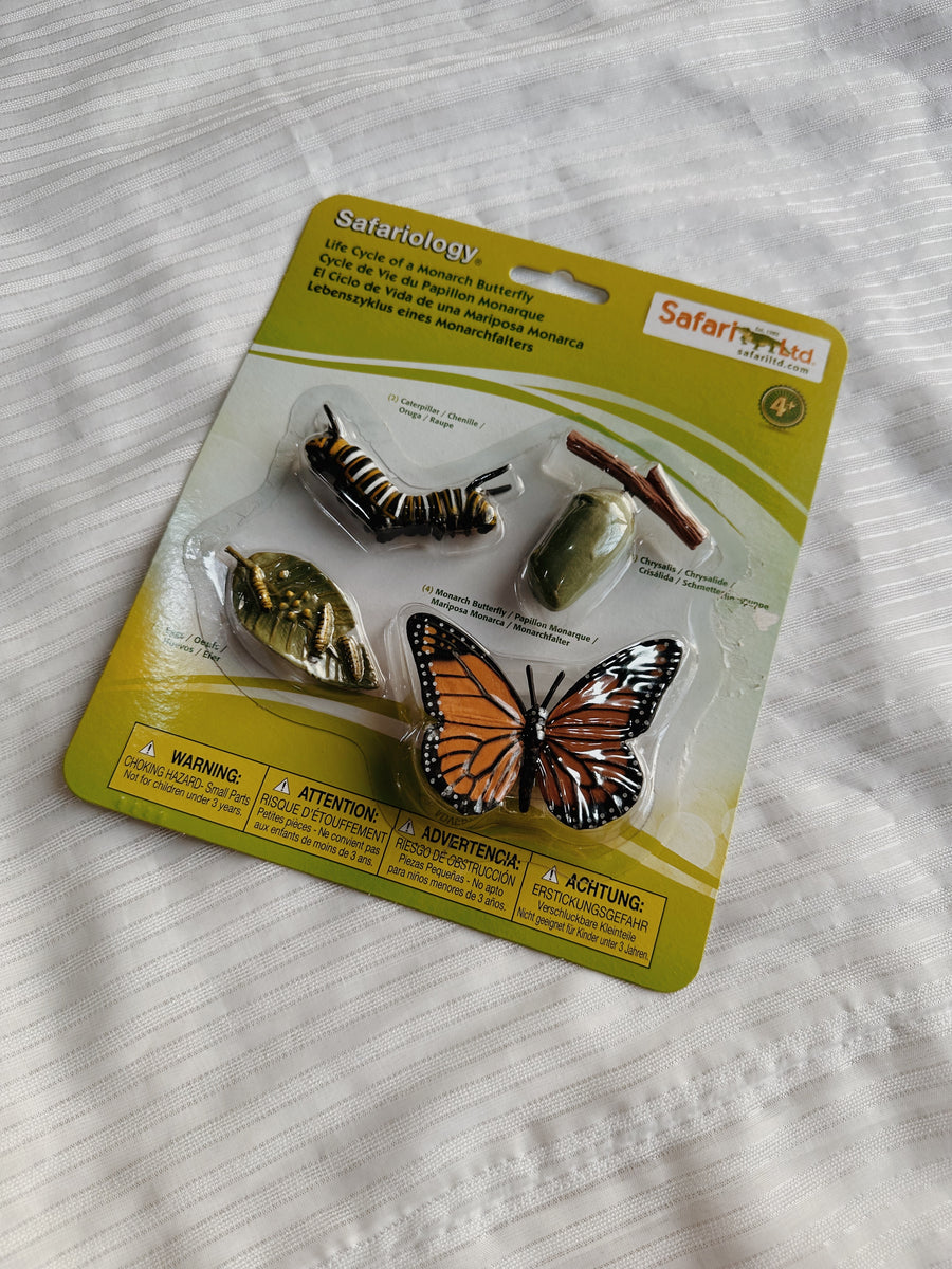 (AS IS) Safari Ltd Life Cycle of a Monarch Butterfly