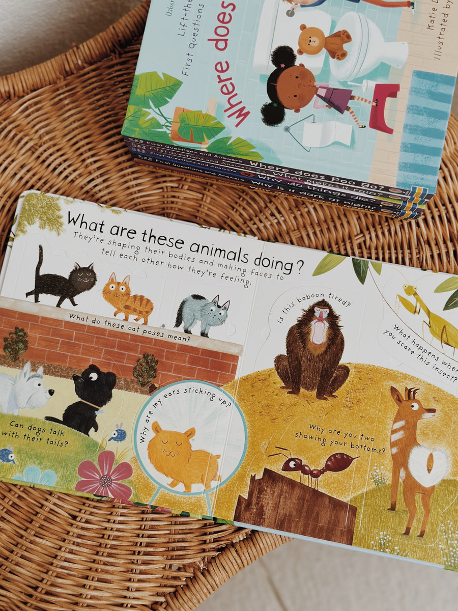 Usborne First Questions and Answers Book Series