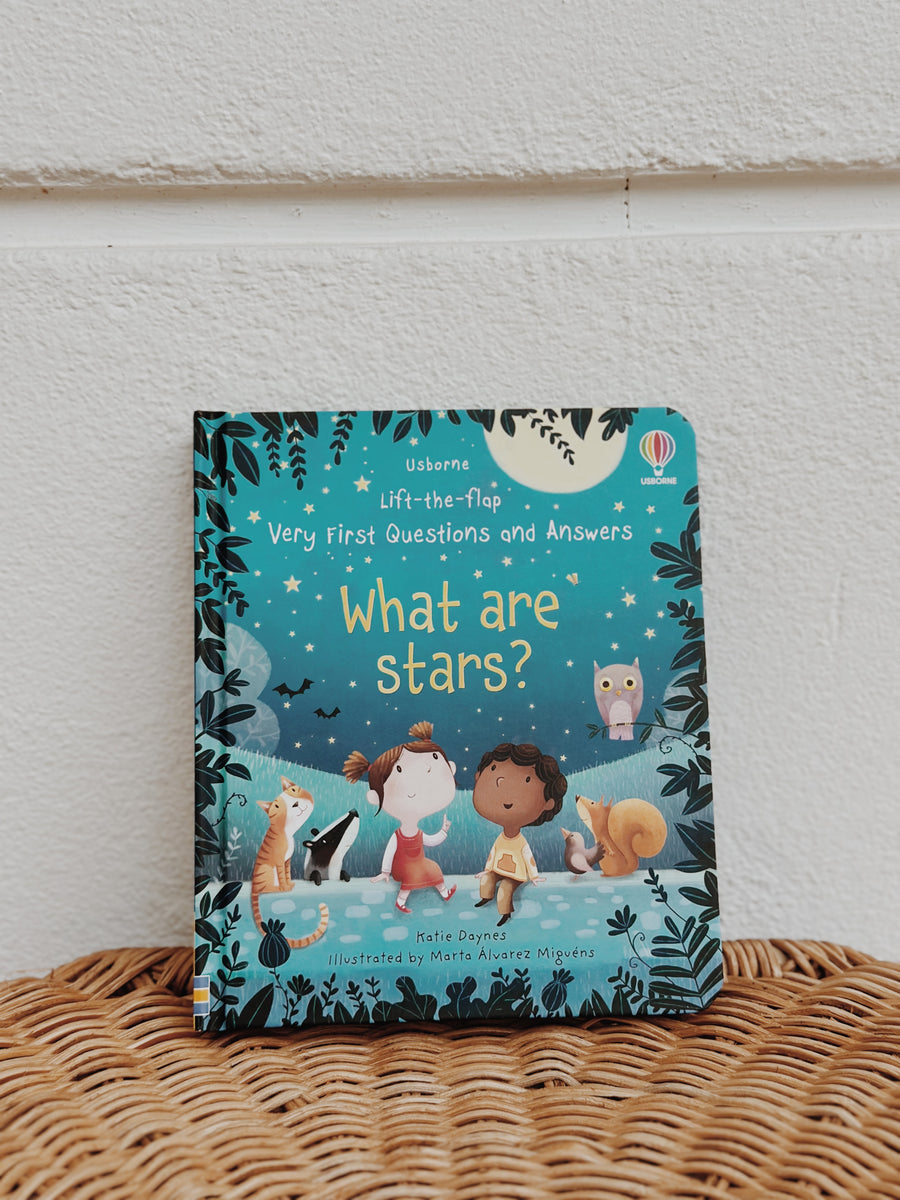 Usborne Very First Questions and Answers Book Series