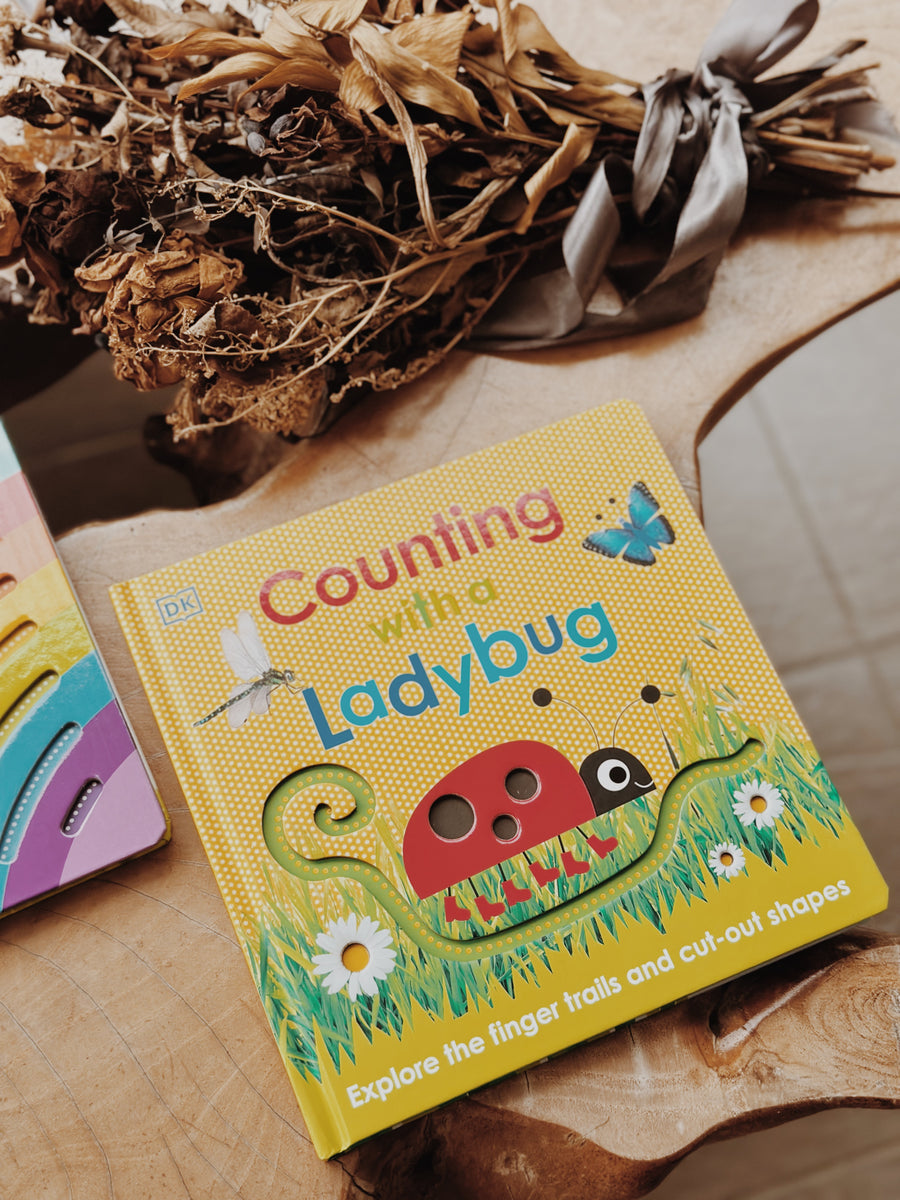 Ladybug Book Series