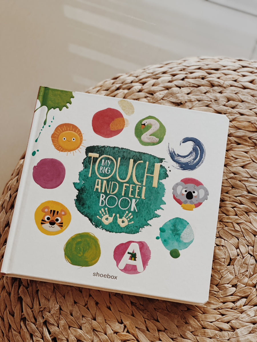 My Big Touch And Feel Book