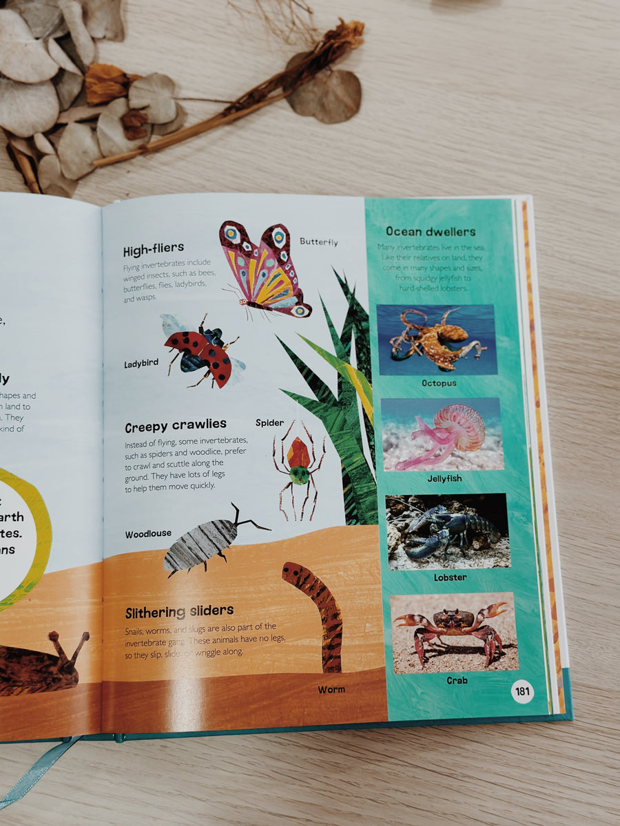 The Very Hungry Caterpillar's Very First Animal Encyclopedia