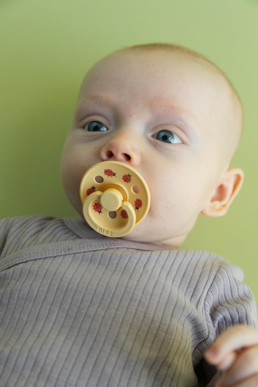 Studio Collection Colour Latex Pacifier 2 Pack
