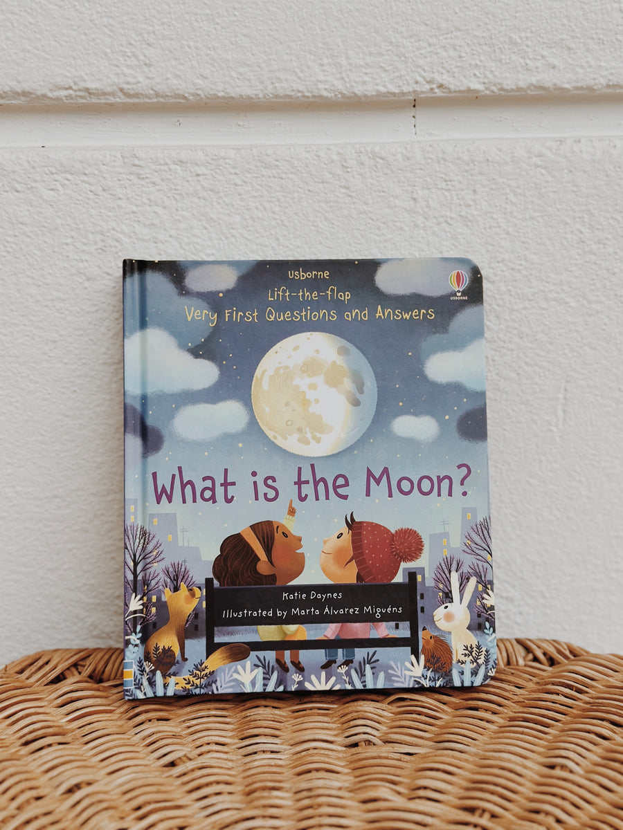 Usborne Very First Questions and Answers Book Series