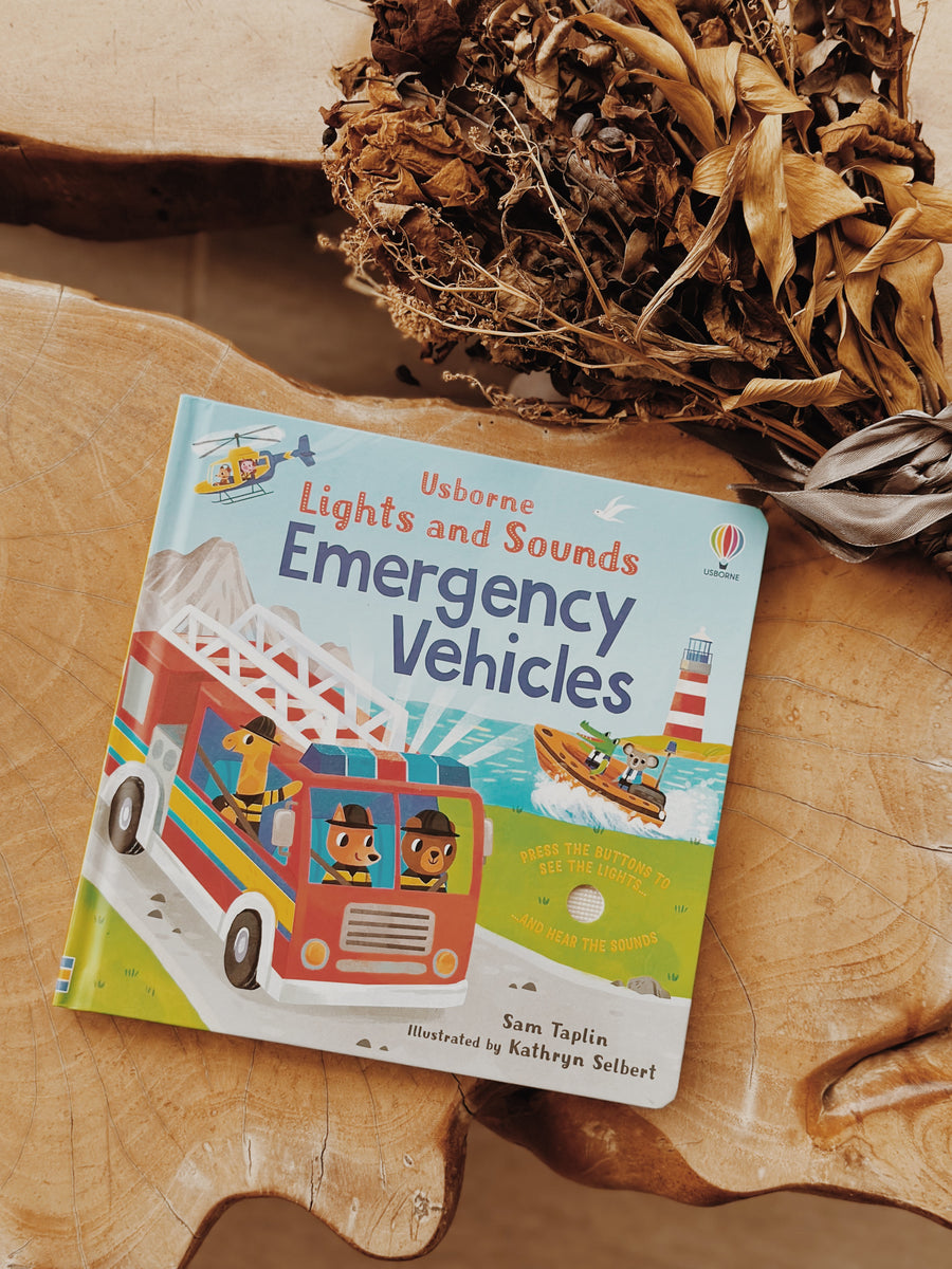 Usborne Lights And Sounds Book Series