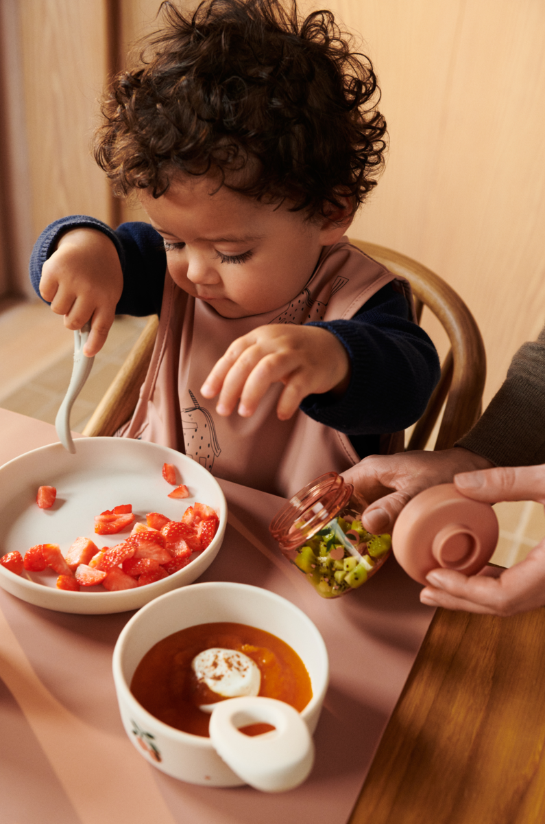 Dominique Baby Food Boxes - 4 Pack