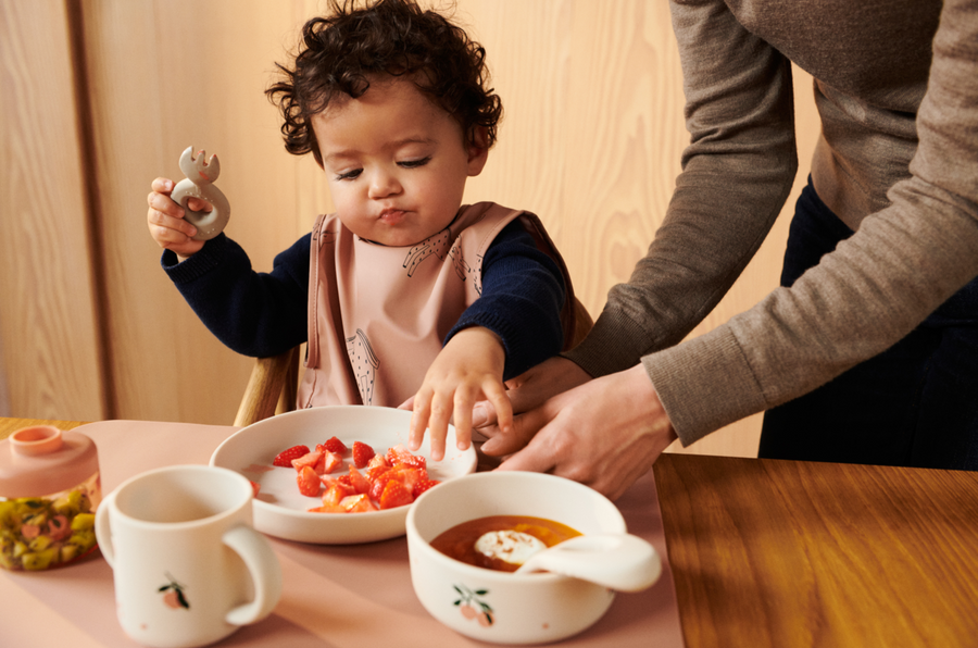 Dominique Baby Food Boxes - 4 Pack