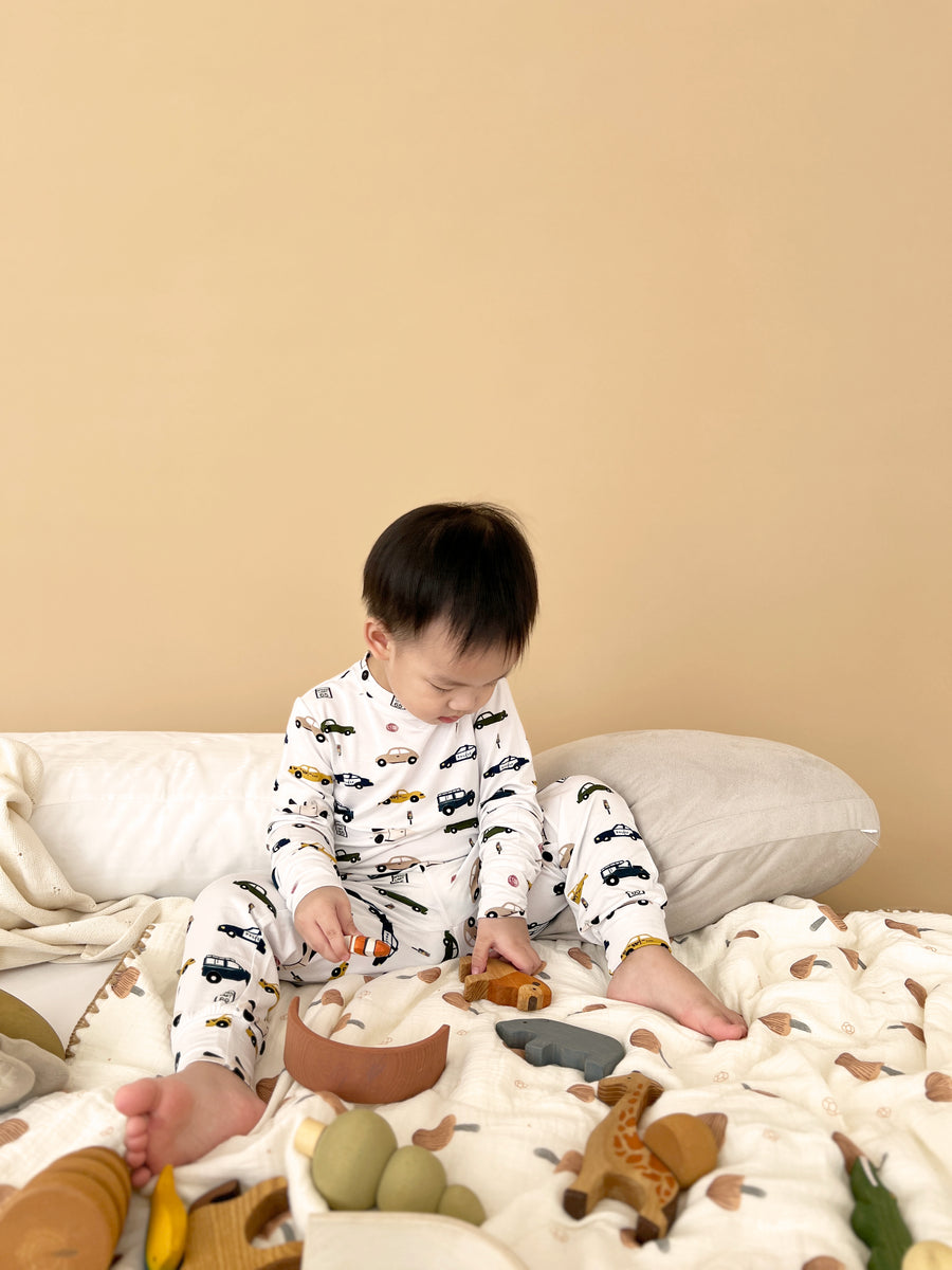 Bamboo Toddler Pyjamas - Vehicles