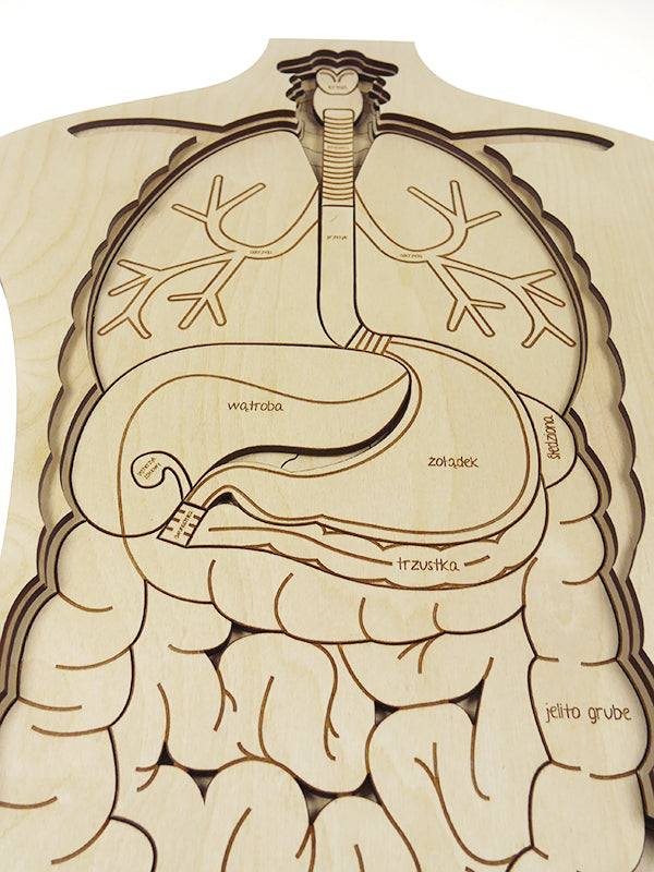 OMG! What's Inside Of Me! Wooden Puzzle