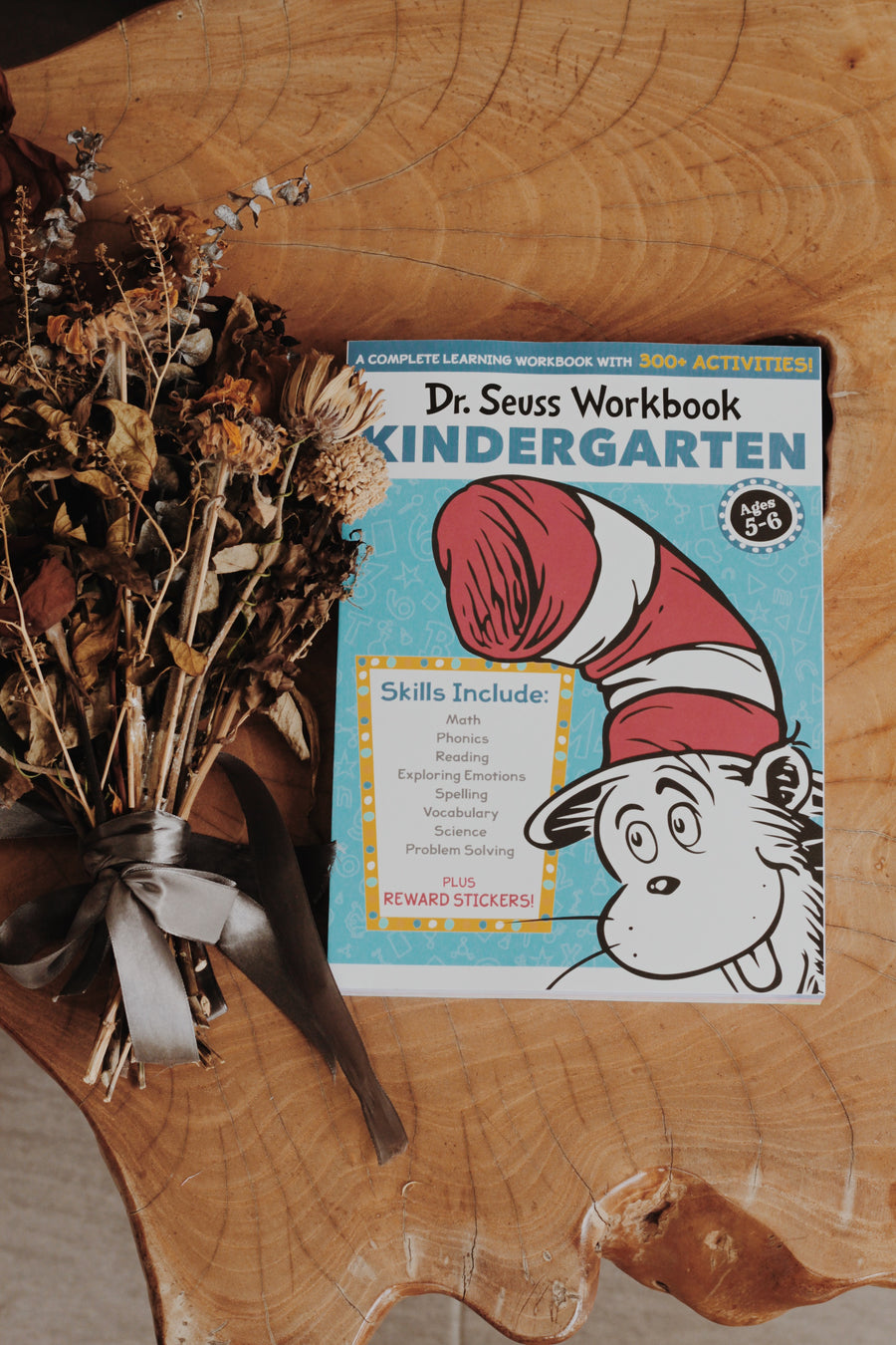 Dr. Seuss Workbooks