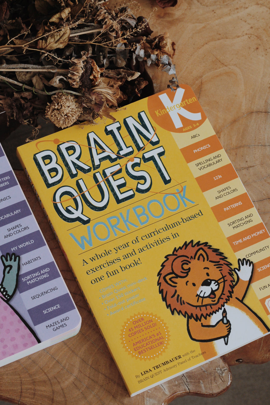 Brainquest Workbooks