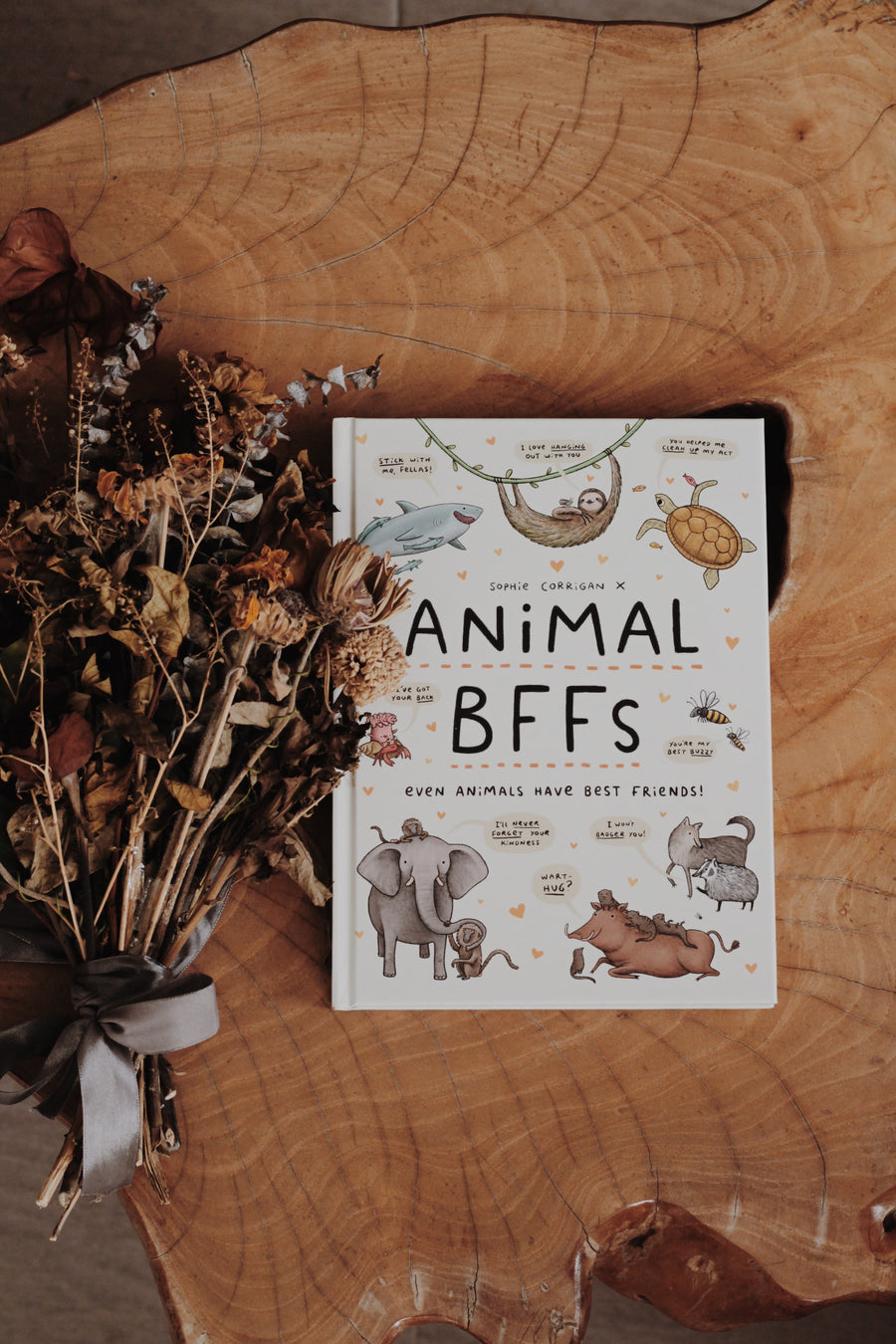 Animal BFFs : Even Animals Have Best Friends!