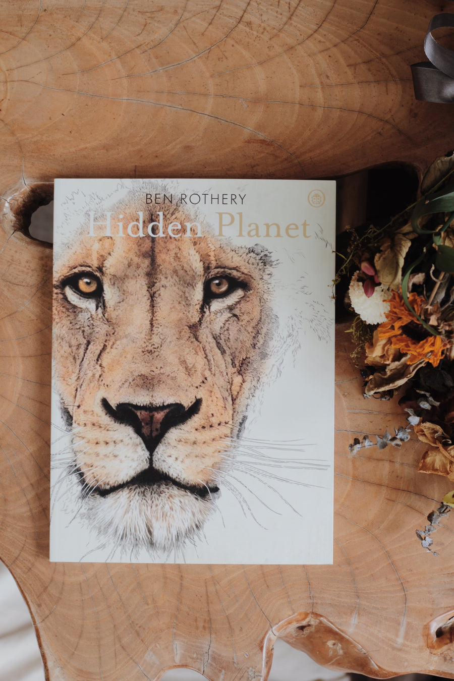 Hidden Planet: An Illustrator's Love Letter to Planet Earth