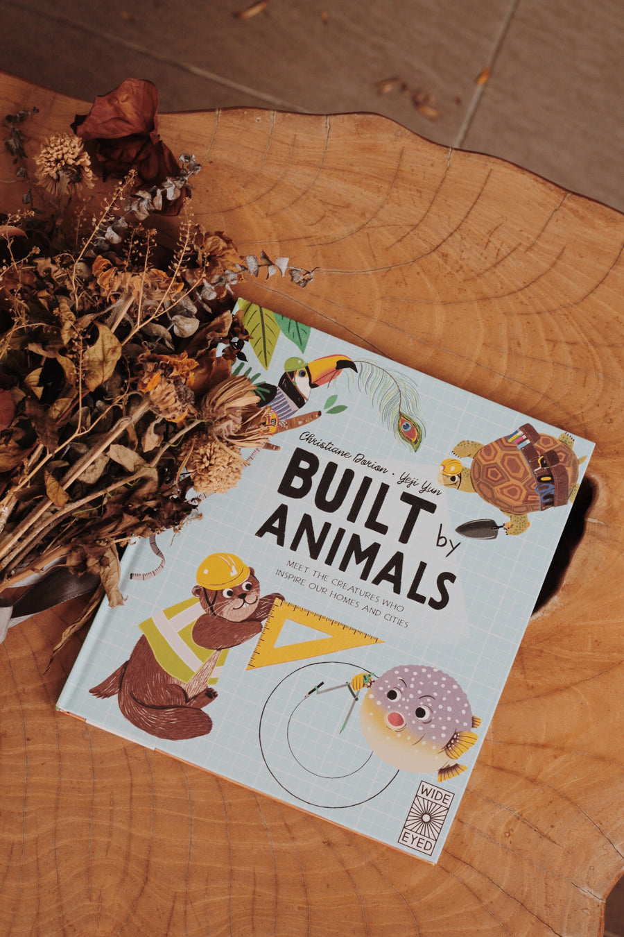 Built by Animals : Meet the creatures who inspire our homes and cities
