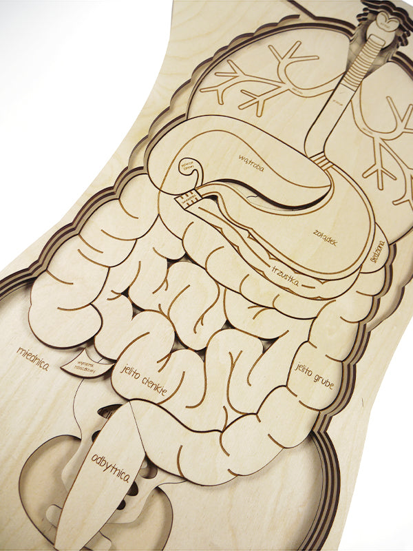 OMG! What's Inside Of Me! Wooden Puzzle