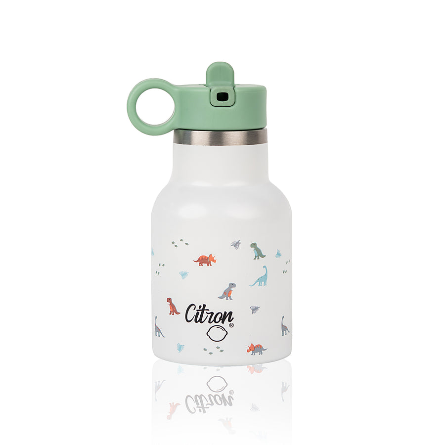 Water Bottle - 250ml | 2021 Collection