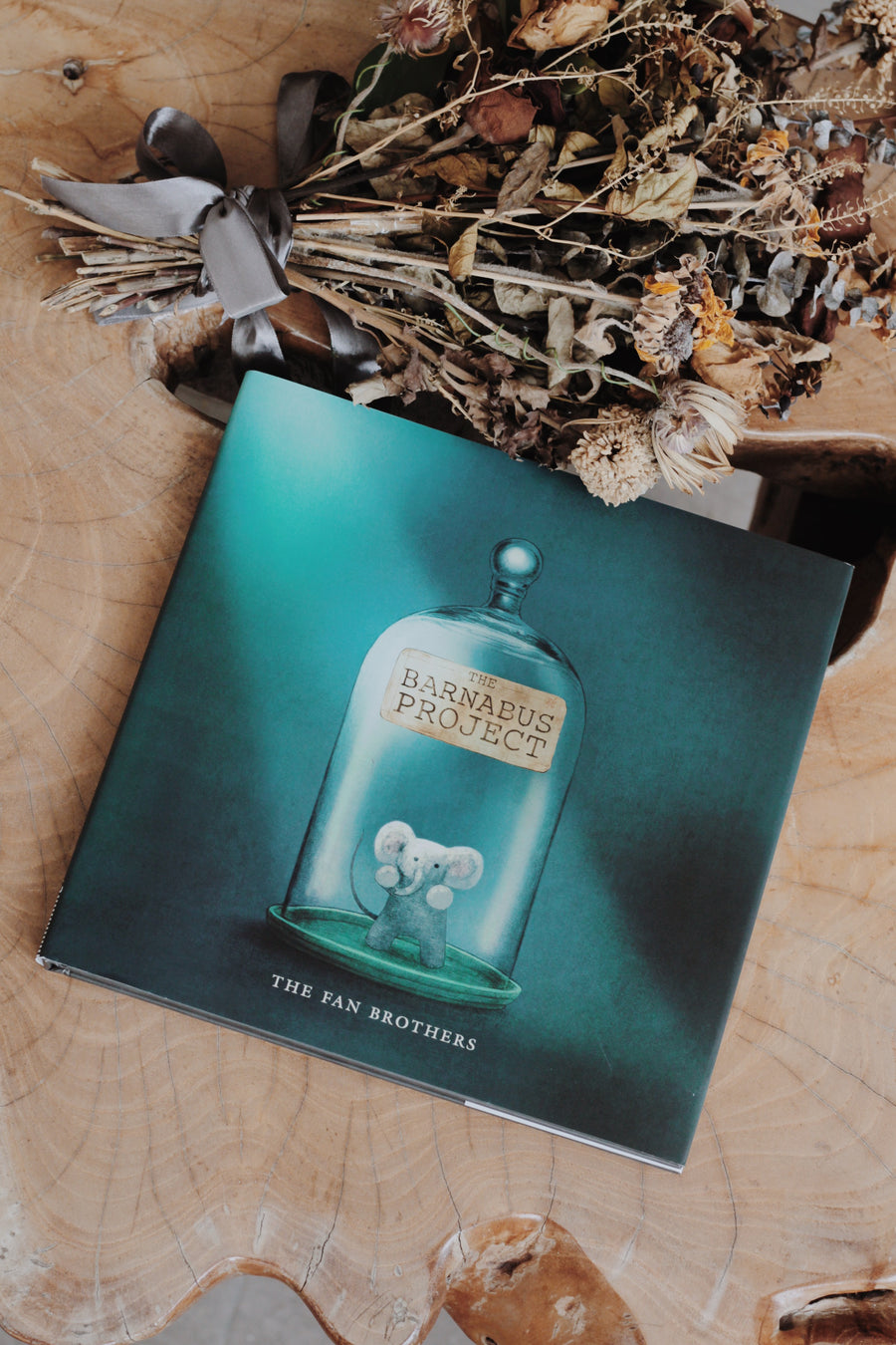 Barnabus The Barnabus Project – Number Twelve