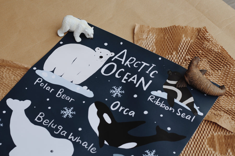 Arctic Ocean Poster