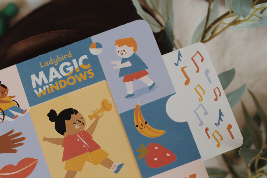 Magic Window Books