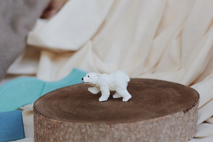 Polar Bear Cub - Standing