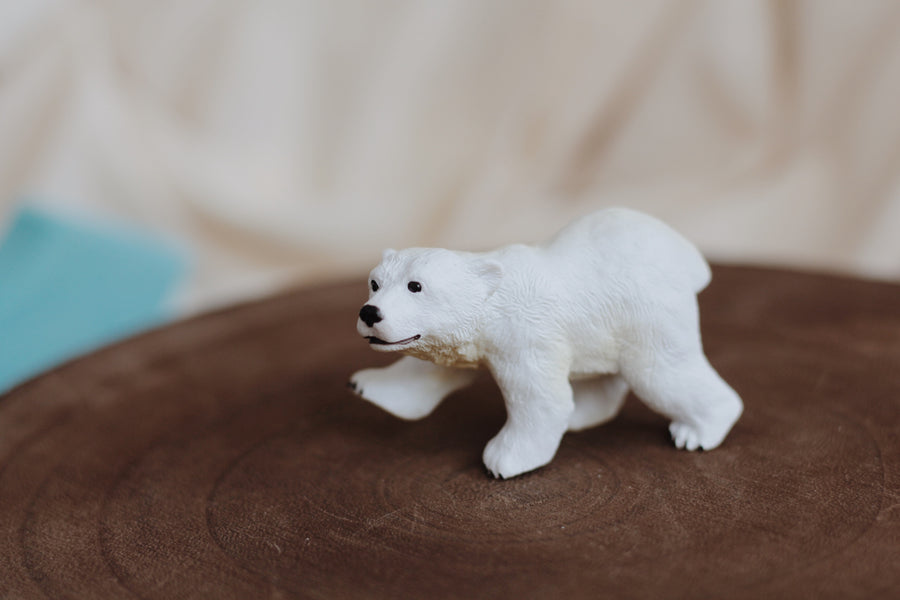 Polar Bear Cub - Standing