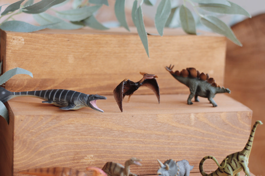 Mini Dinosaur Life Set - 10pcs