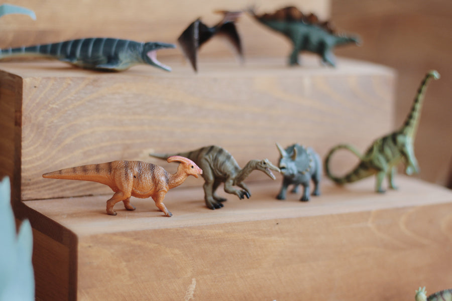 Mini Dinosaur Life Set - 10pcs