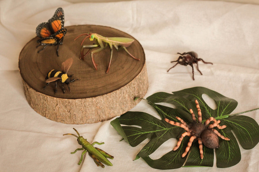 Insects and Spiders Set - 6pcs