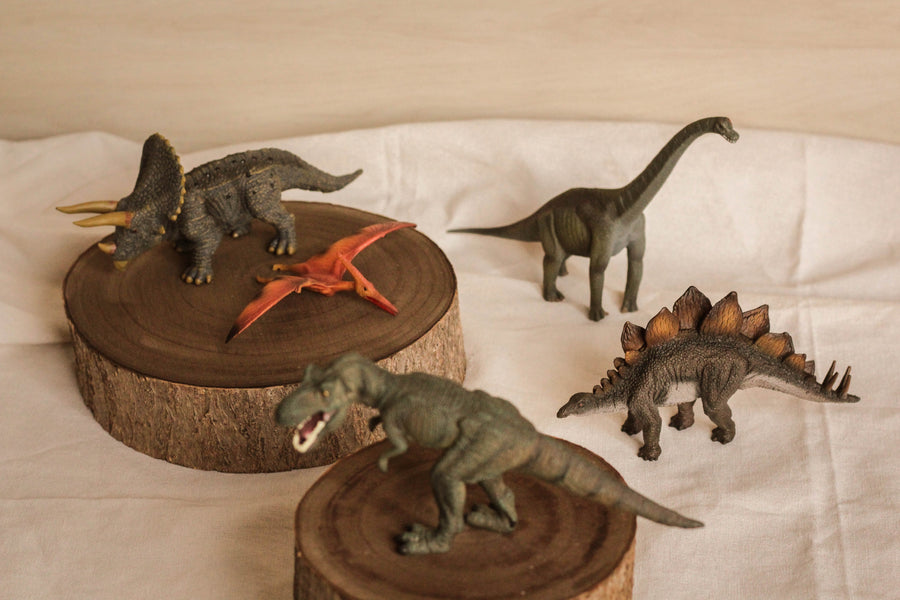 Dinosaurs Set - 5pcs