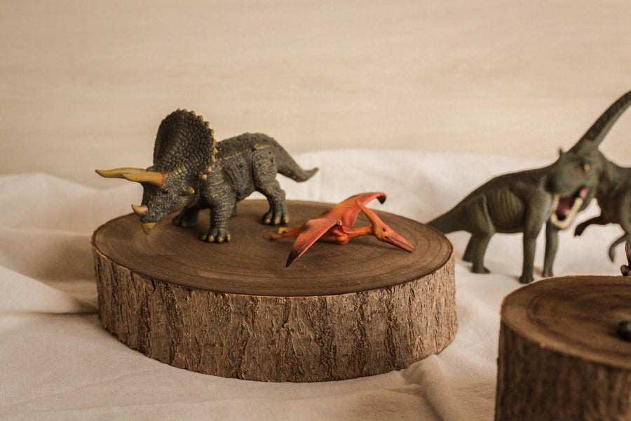 Dinosaurs Set - 5pcs