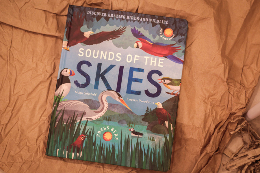 Sounds of Skies