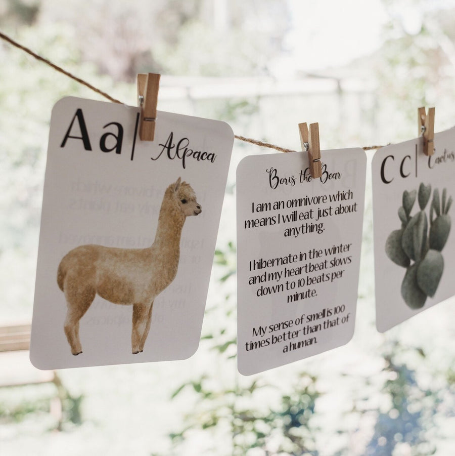 Nature's ABC Flash Cards