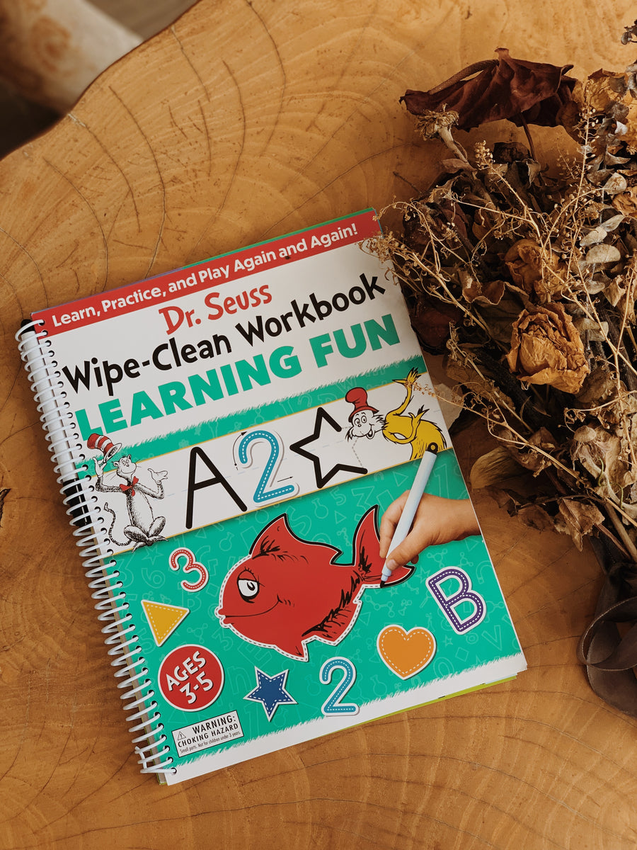 Dr. Seuss Wipe-Clean Workbooks
