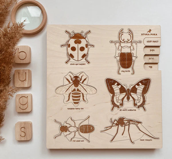 Bugs Life Cycle Wooden Puzzle